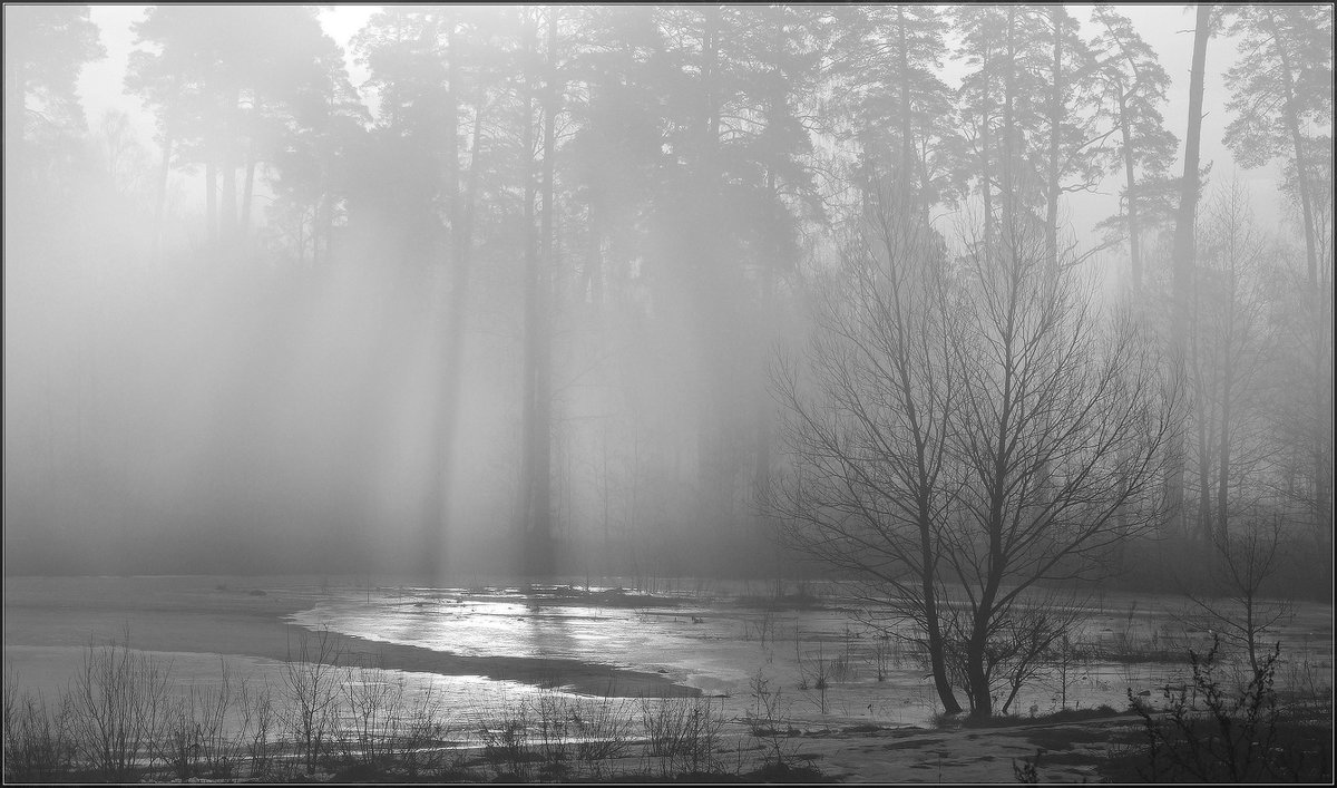 В тумане - Надежда Лаврова