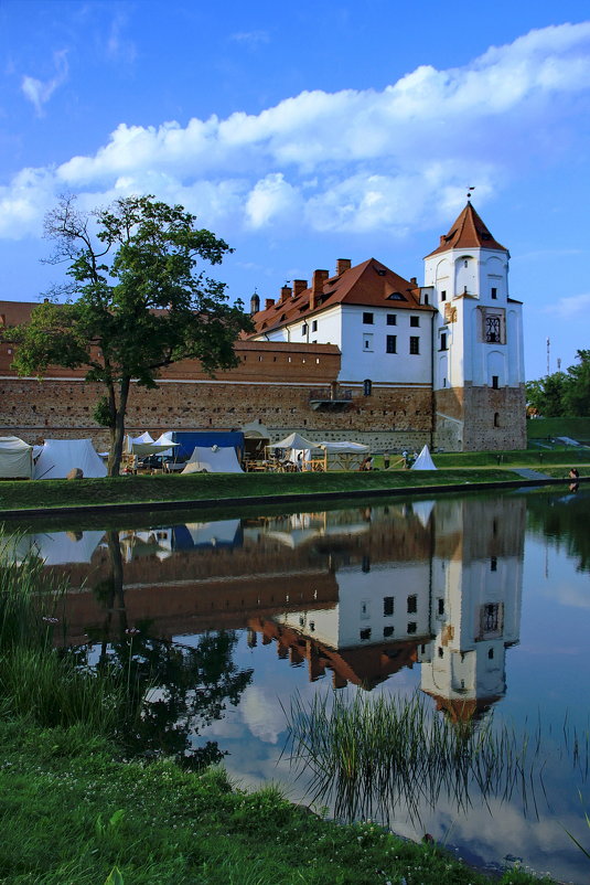 Замок в Мире - Владимир 