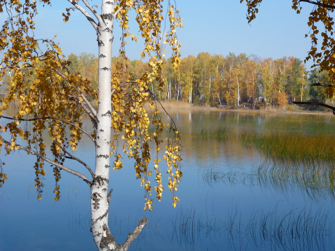 озеро Сунукуль - ольга старкова 