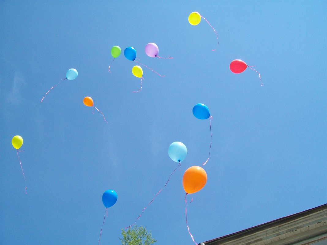 Воздушные шары в небе - Татиана ...