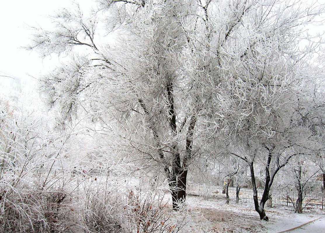 Белая зима - Natali 