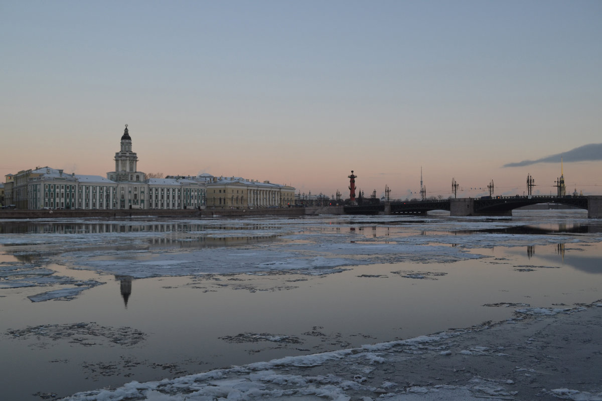 Петербург в отражениях - Наталья Левина