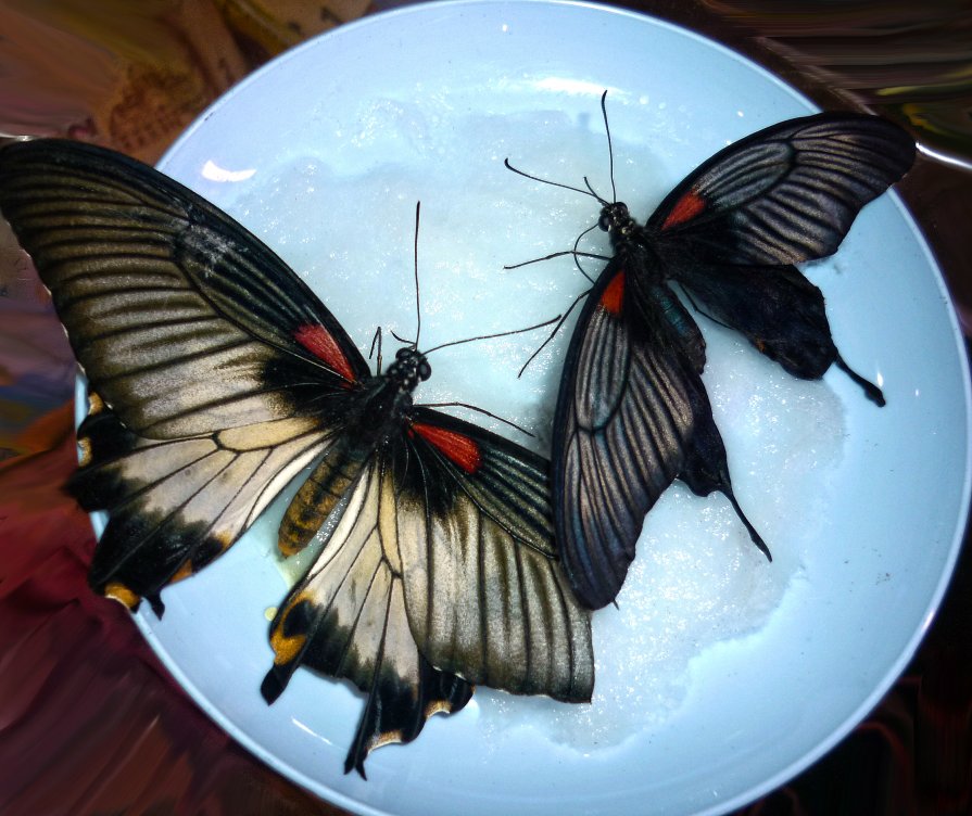 бабочки - ольга кривашеева