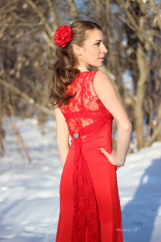Lady in Red - Александр Гудзь