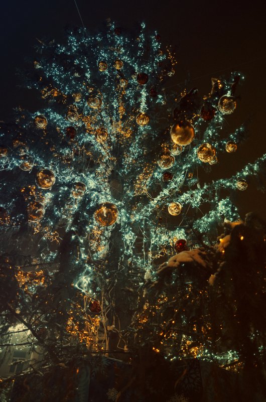 Новогодняя ёлка - Андрей Дыдыкин