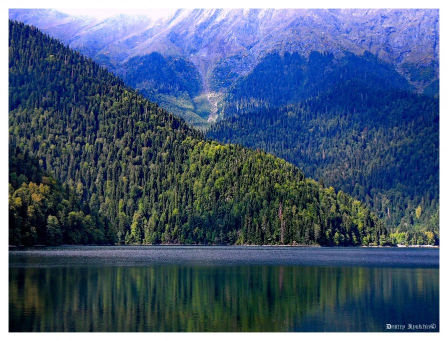 Озеро Рица- Кавказа царица - Дмитрий Илюхин