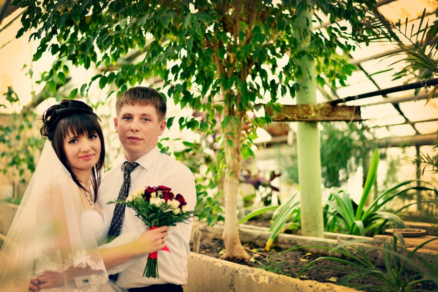 Свадьба - Александр Воронов