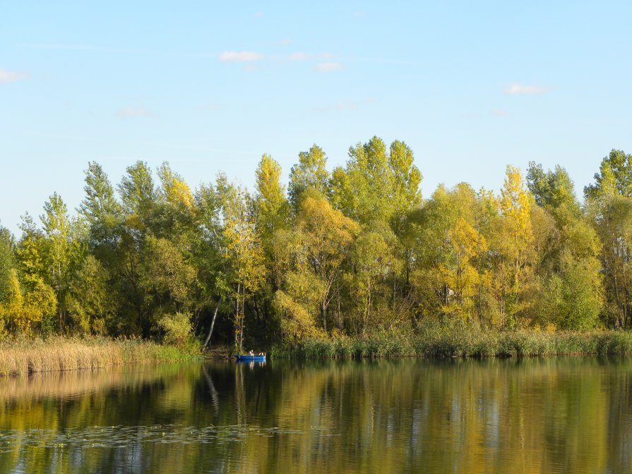 Осень - Наталья Лесовая