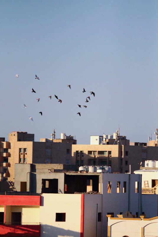 view from the roof. hurghada - Alisa Wonderland