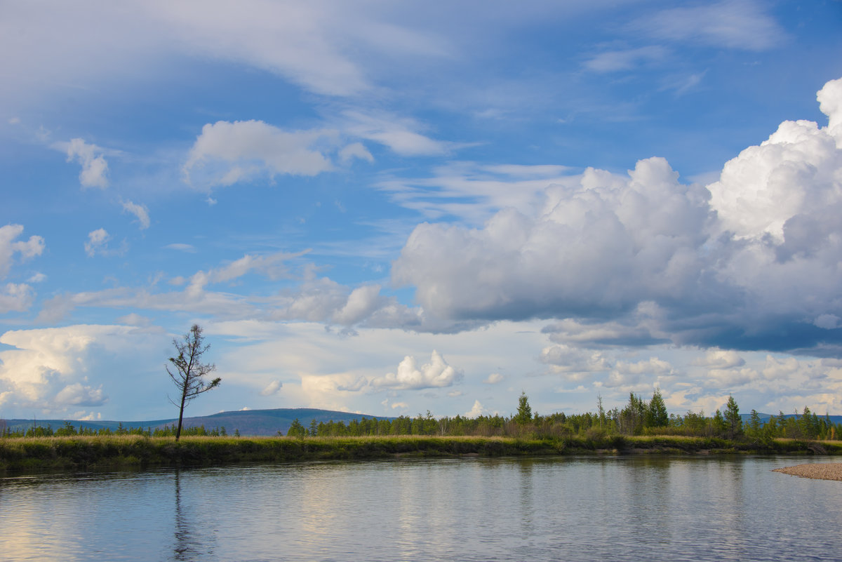 *** - Александр Хаецкий