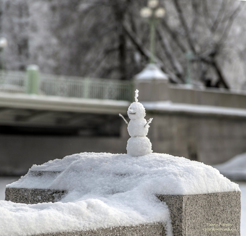 Веселый снеговичок - Valeriy Piterskiy