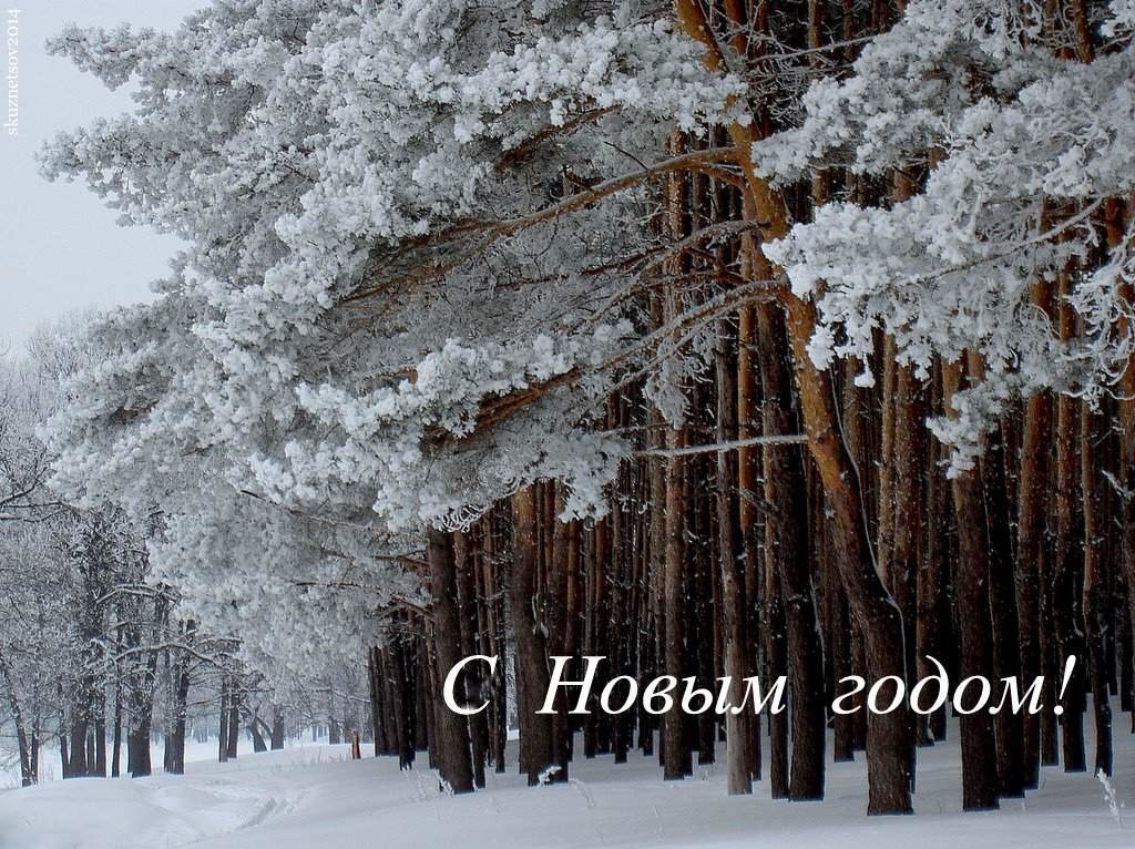 С Новым годом! - Сергей Кузнецов