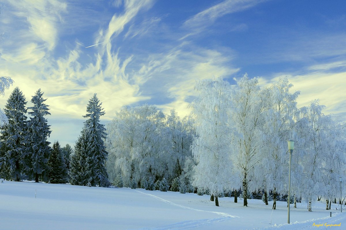 Зимний пейзаж - Андрей Куприянов