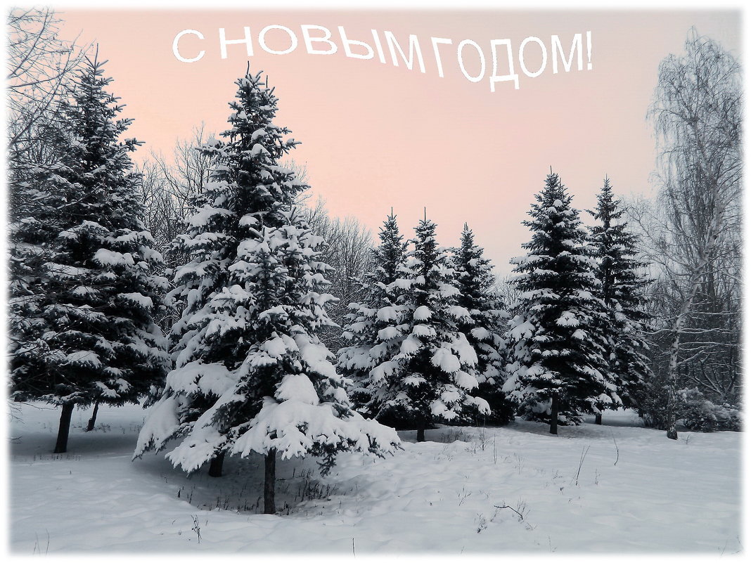 И профессионалов и любителей поздравляю с Новым годом! - Александр Бурилов