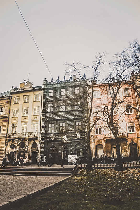 Lviv - Christina Shenrok