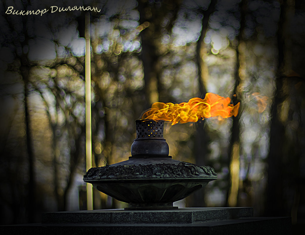 Вечный огонь на Площади Героев - Виктор Дилянян