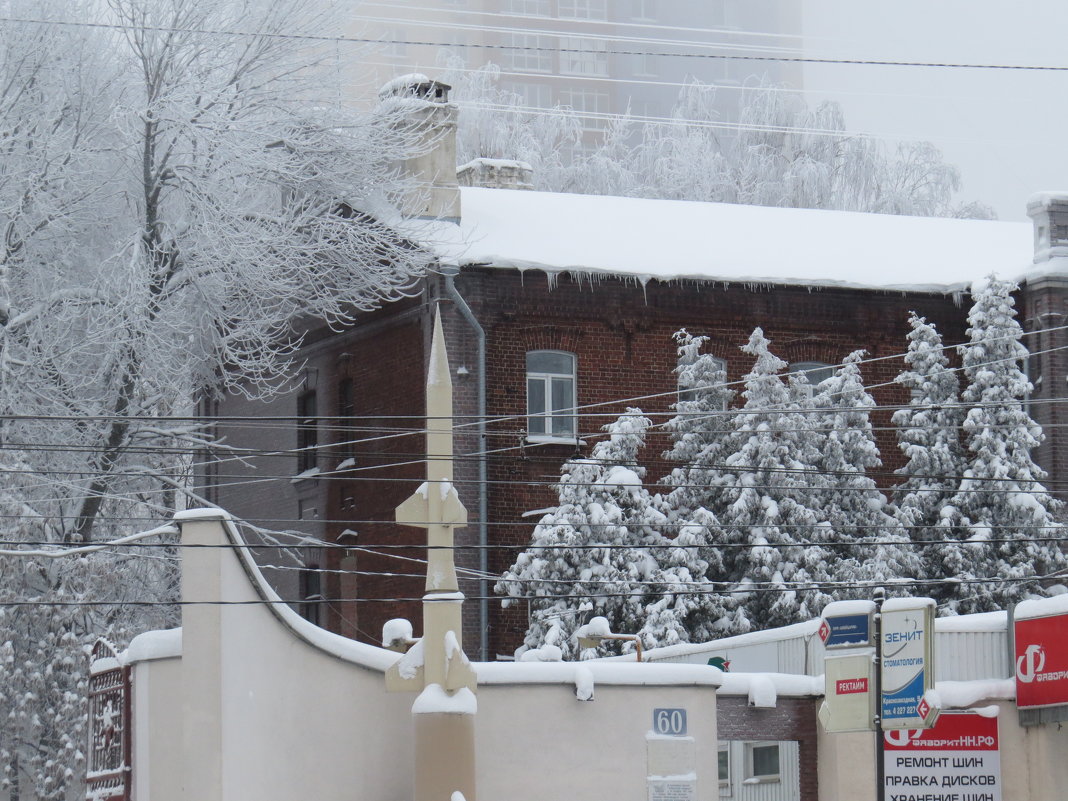 Снежный день в Нижнем Новгороде - Ната Волга