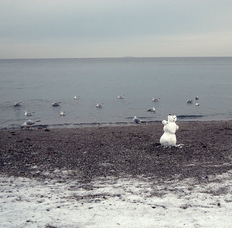Чайки и снеговик - Людмила 