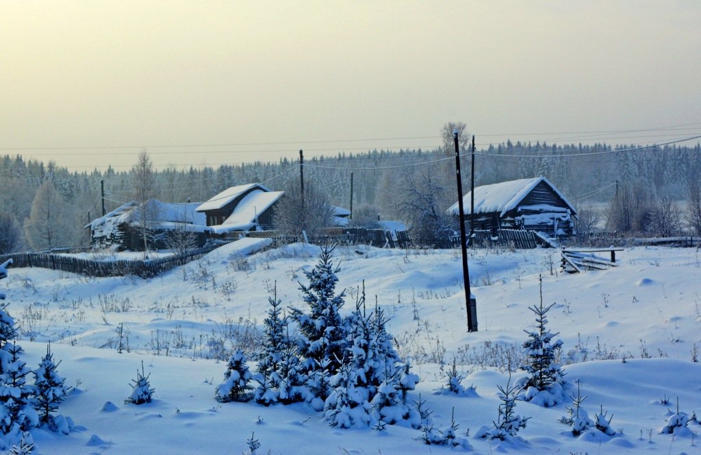 Зимой в Ильинском - Валерий Симонов