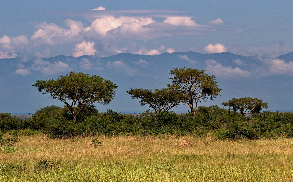 Уганда - жемчужина Африки - Евгений Печенин