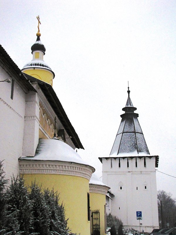 У стен Пафнутьев-Боровского монастыря - Ольга Иргит