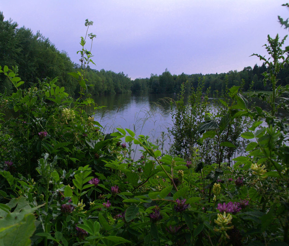 Пасмурно - Александр 