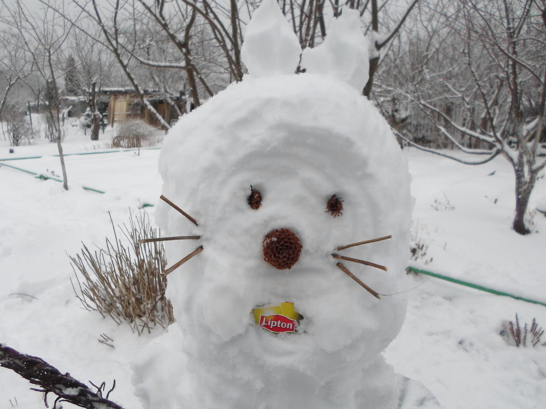 Снеговик-2015 - BoxerMak Mak