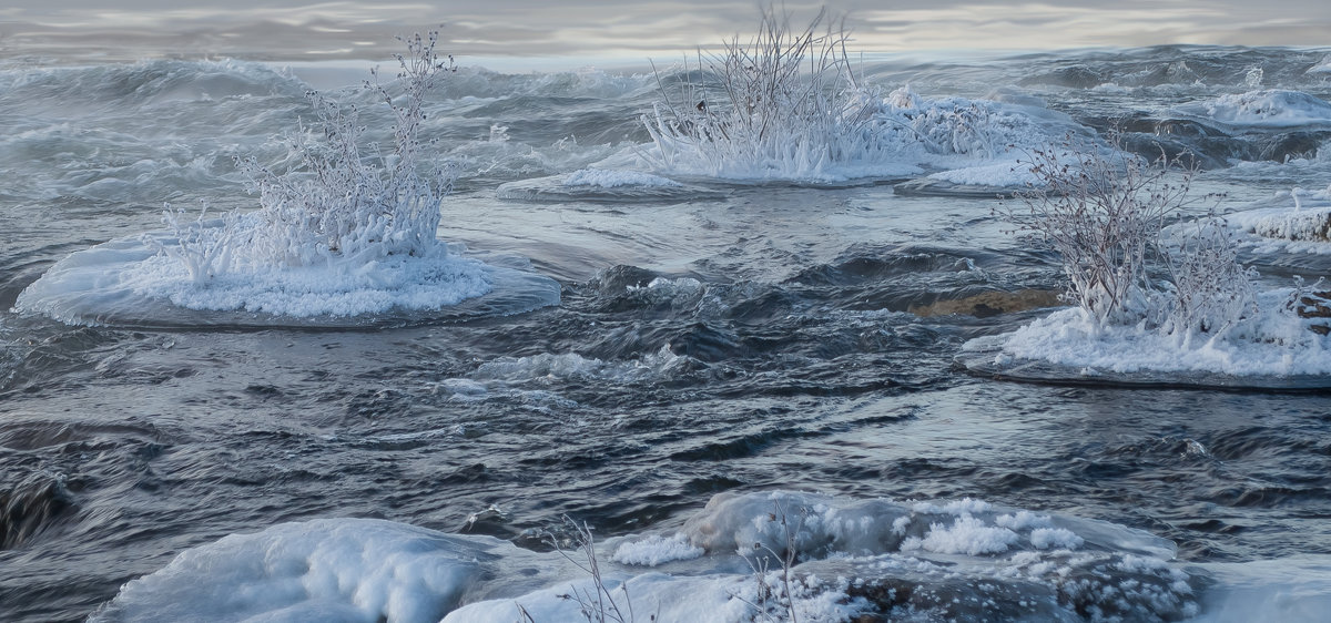 Ледяные острова - Илья Костин