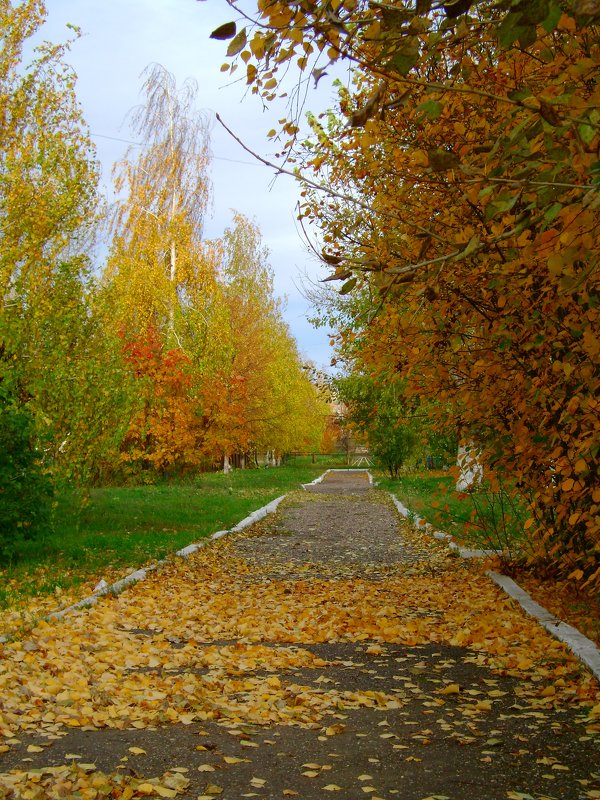 Осень в городе - Татьяна ***