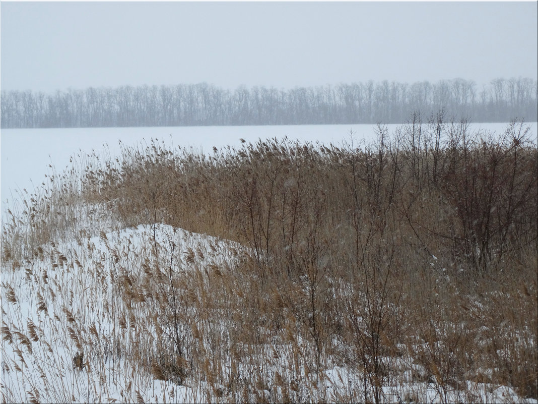 Зима за городом... - Тамара (st.tamara)