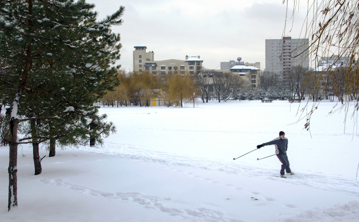 Лыжник в парке - Анатолий Цыганок