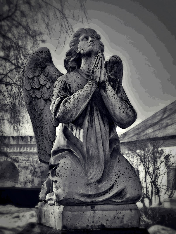 ангелы поют на небесах... - Дмитрий Анцыферов