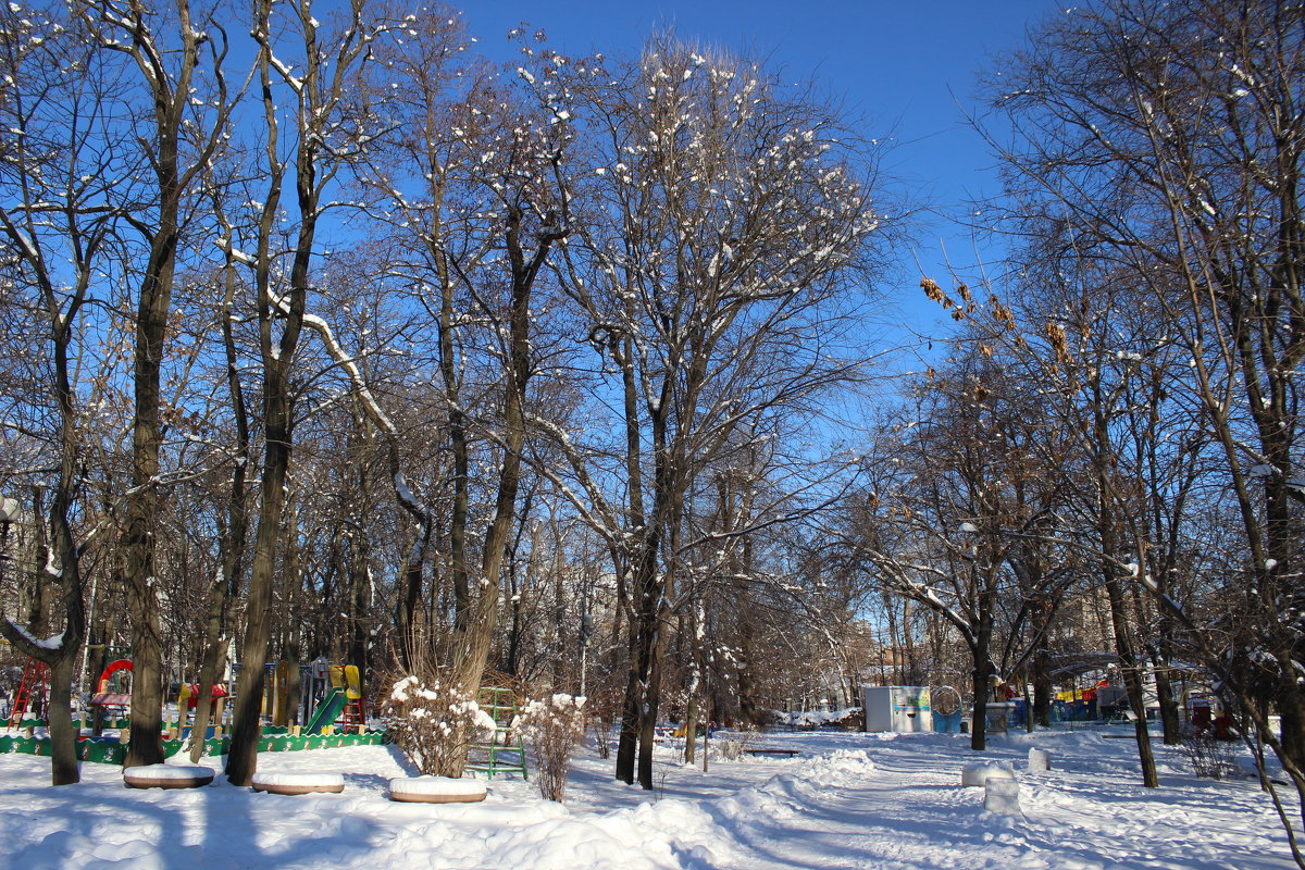 Зима, парк - Леонид 