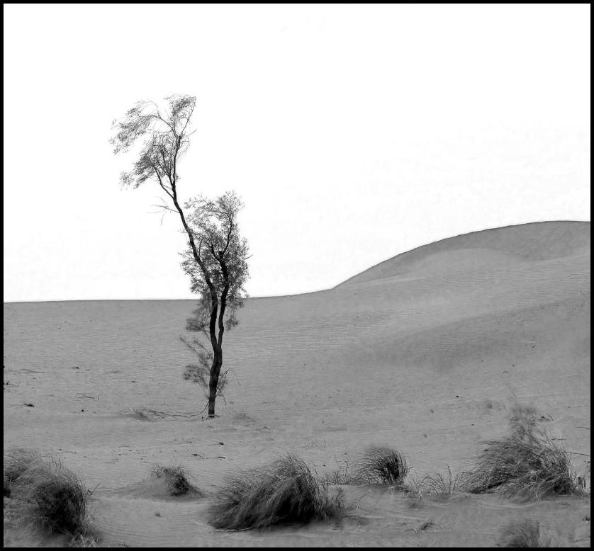 Моя земля.Песок и холод - Ахмед Овезмухаммедов