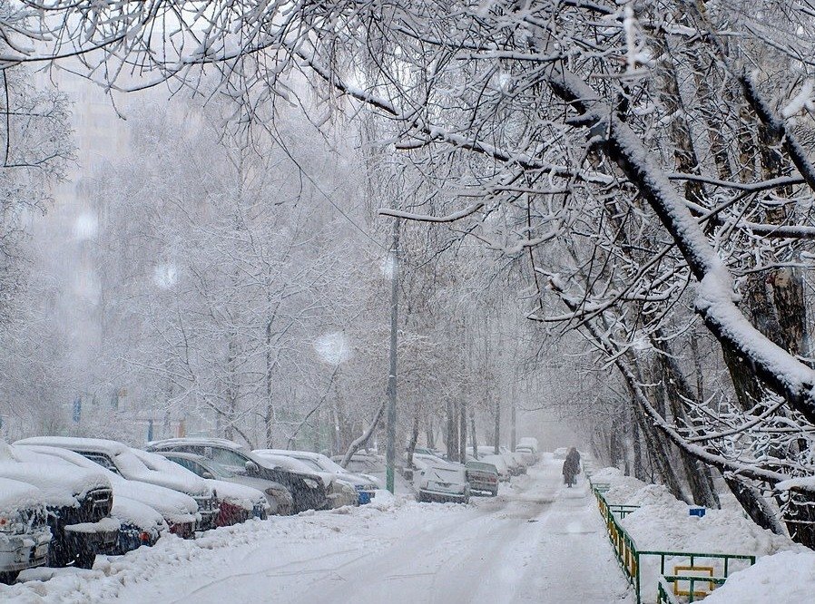 Зимний двор - анна нестерова