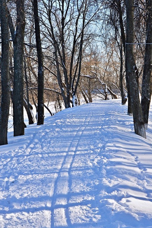 Лыжня - Сергей Жданов
