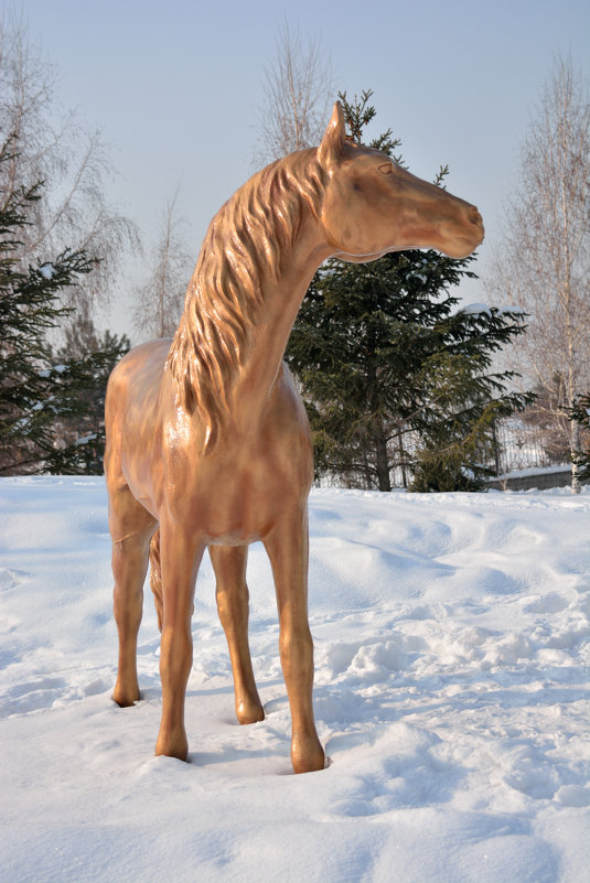 памятник лошади - oxana 