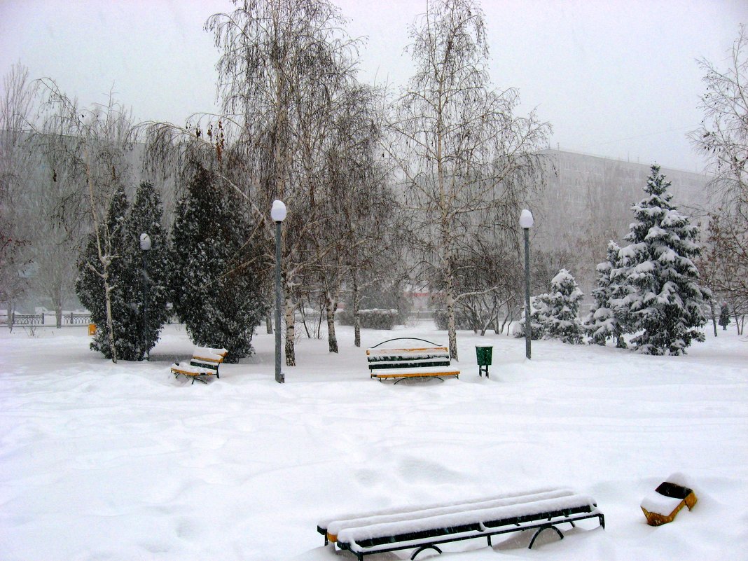 Скверик в снегопад - Natali 