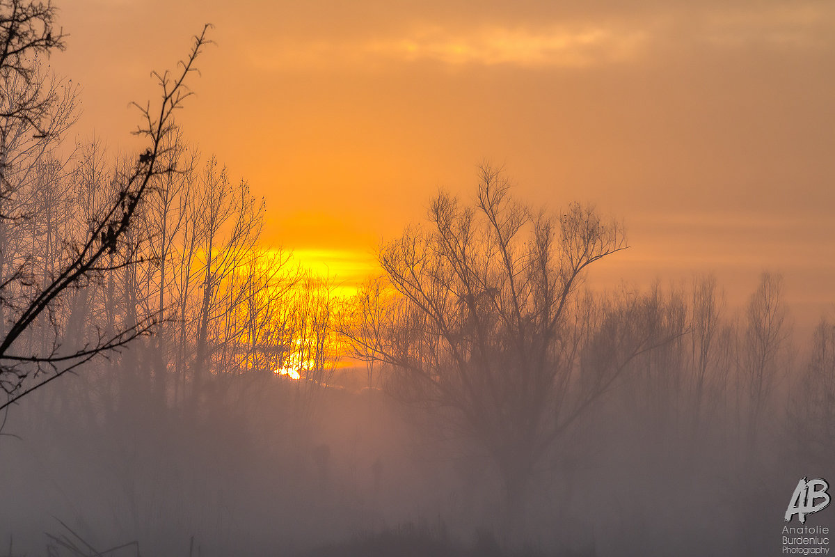 Золотой закат в тумане - Aнатолий Бурденюк