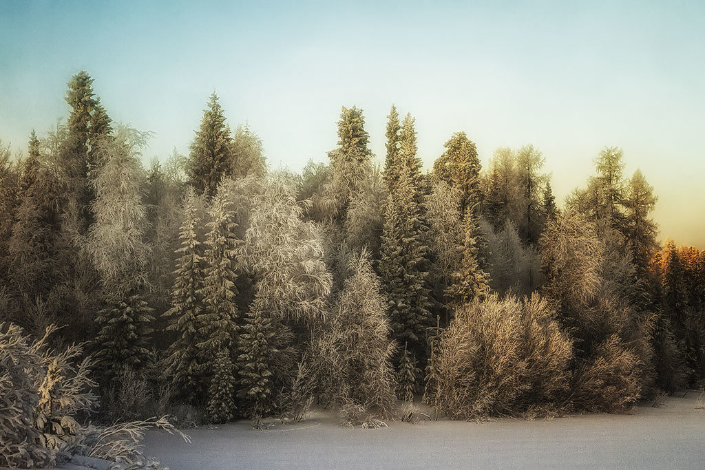 Зима - Игорь Триер
