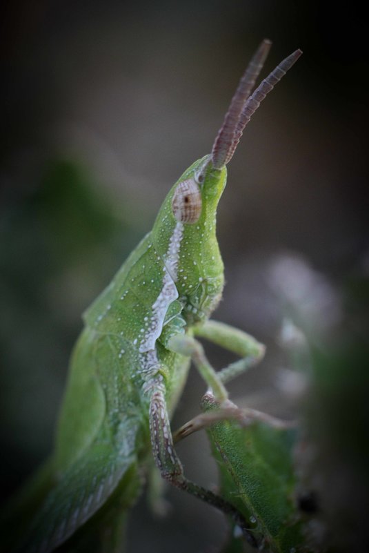 фото - mishanya boru