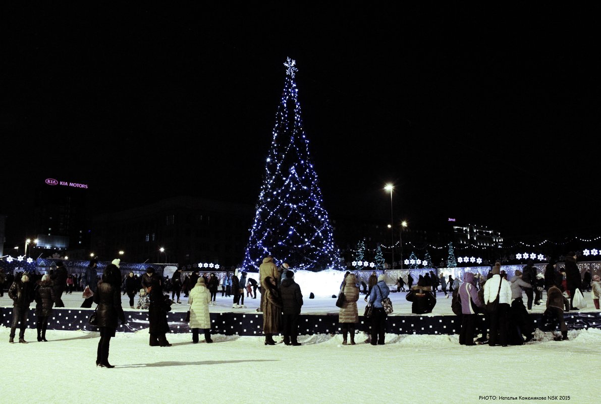 Новогодняя елка. г. Новосибирск - Наталья Солнышко