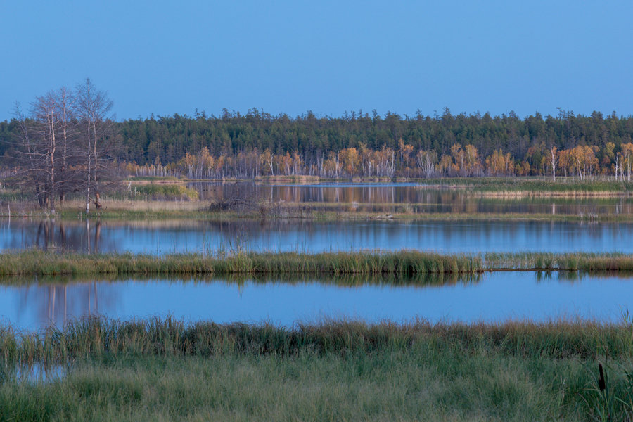 Вид на озеро - Михаил Потапов
