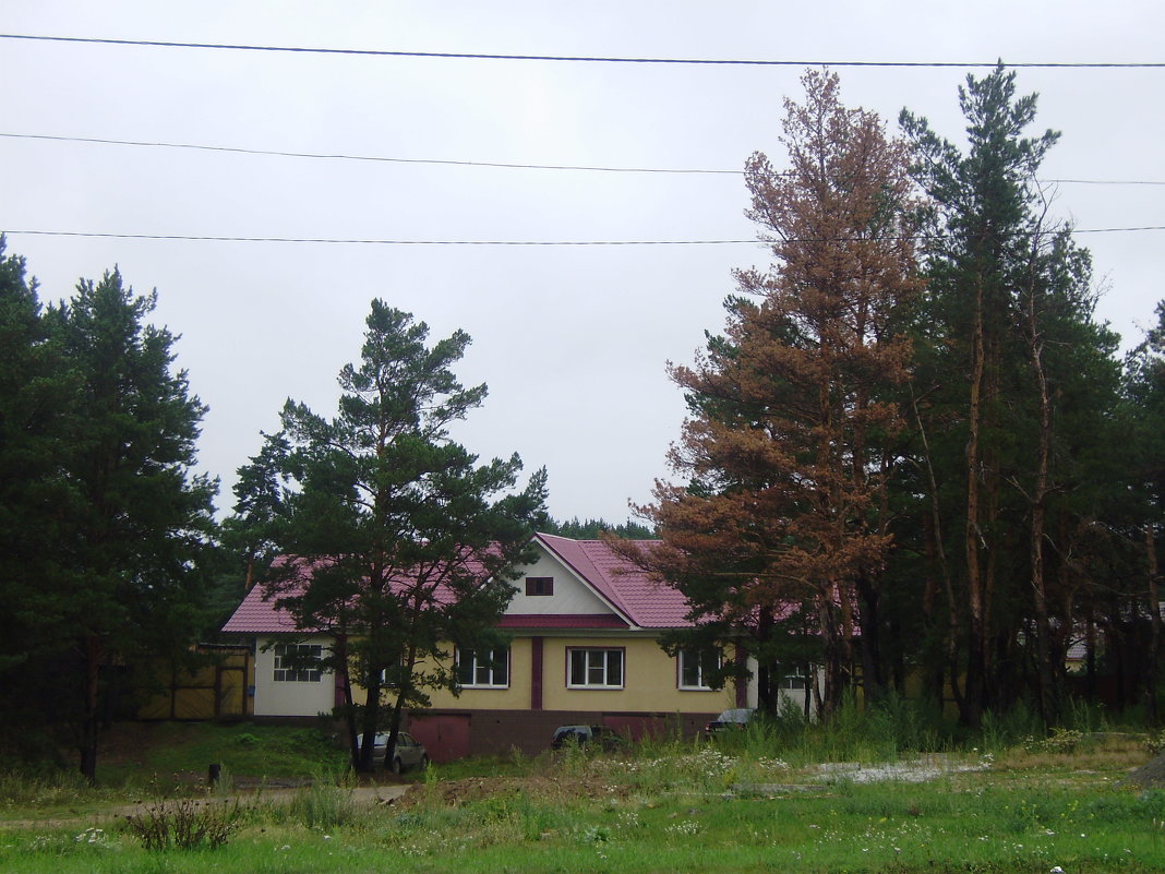 домик в лесу - ирина амблямова
