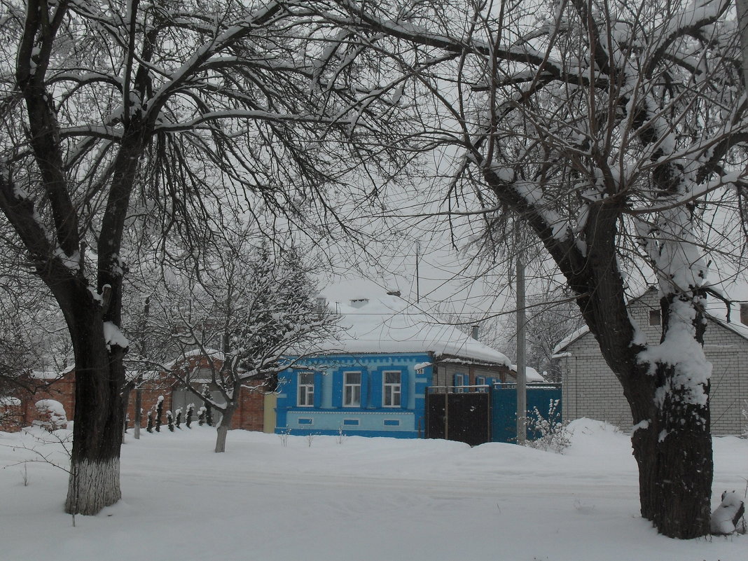 И вновь зима... - Ольга Башарова