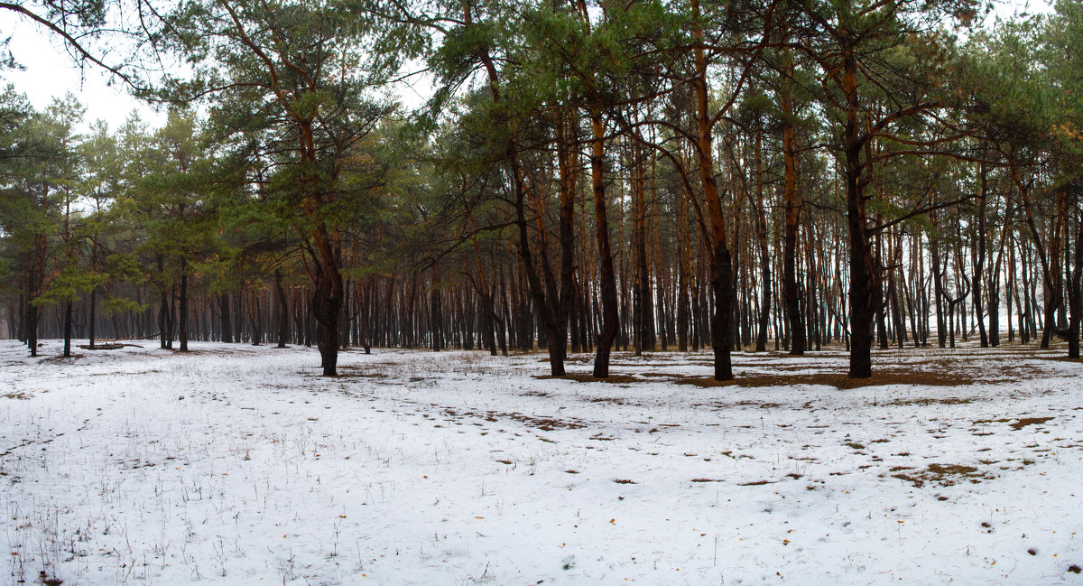 *** - Александр 