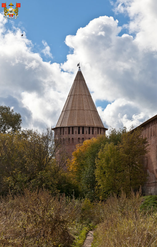 Смоленская крепость. Заалтарная (Белуха, башня круглая Авраамиевская, Золотарная) башня - Алексей Шаповалов Стерх