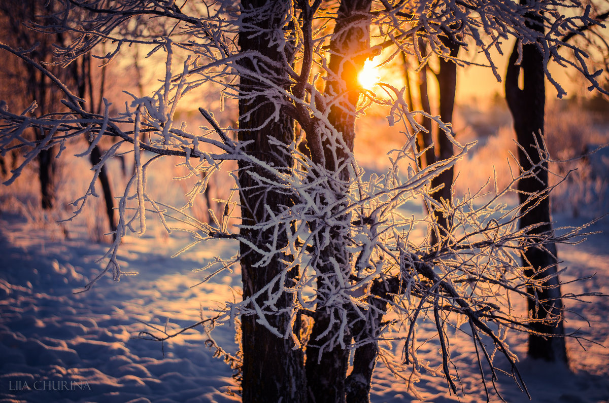 Along the winter sun - Лия Чурина