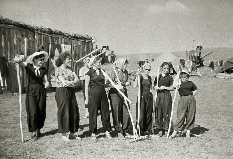 Наши девочки-студенточки на целине (1957 год, Хакассия). Снимок моего товарища А. Платошкина. - Владимир 