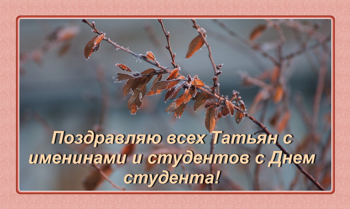 *** - Галина Мухина